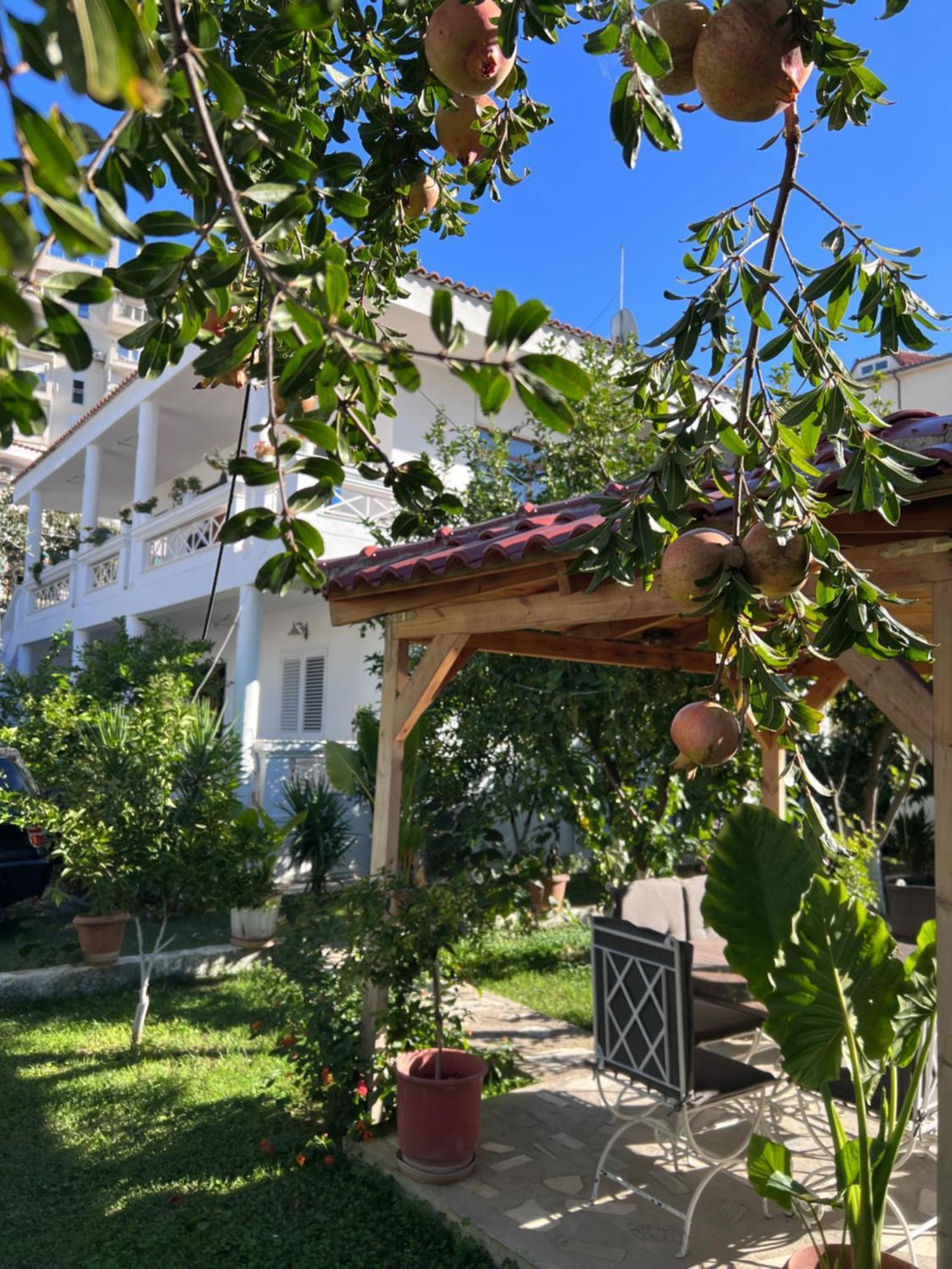 Apartment Modern In A - Tirana
